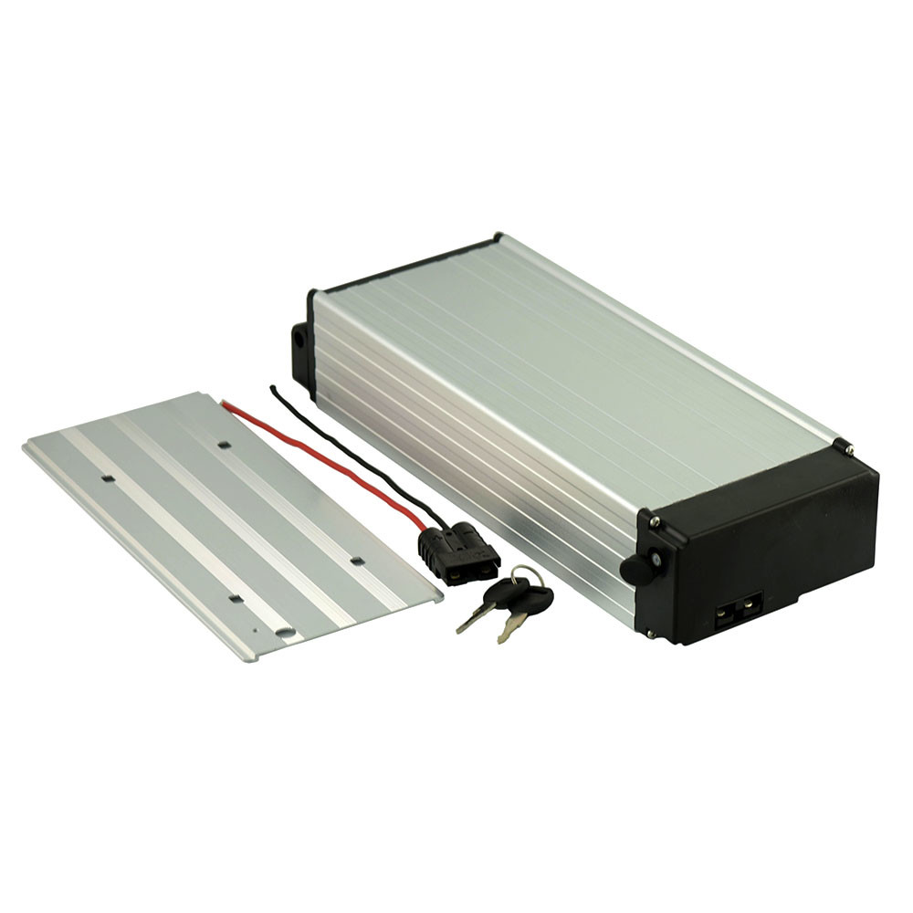 30Ah 48 Volt Lithium Ion Battery For Electric Bike 1500W with 40A BMS