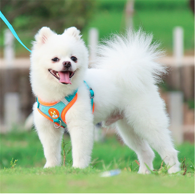 Suede Material Reflective Strips Pet Harness Vest For Dogs And Cats