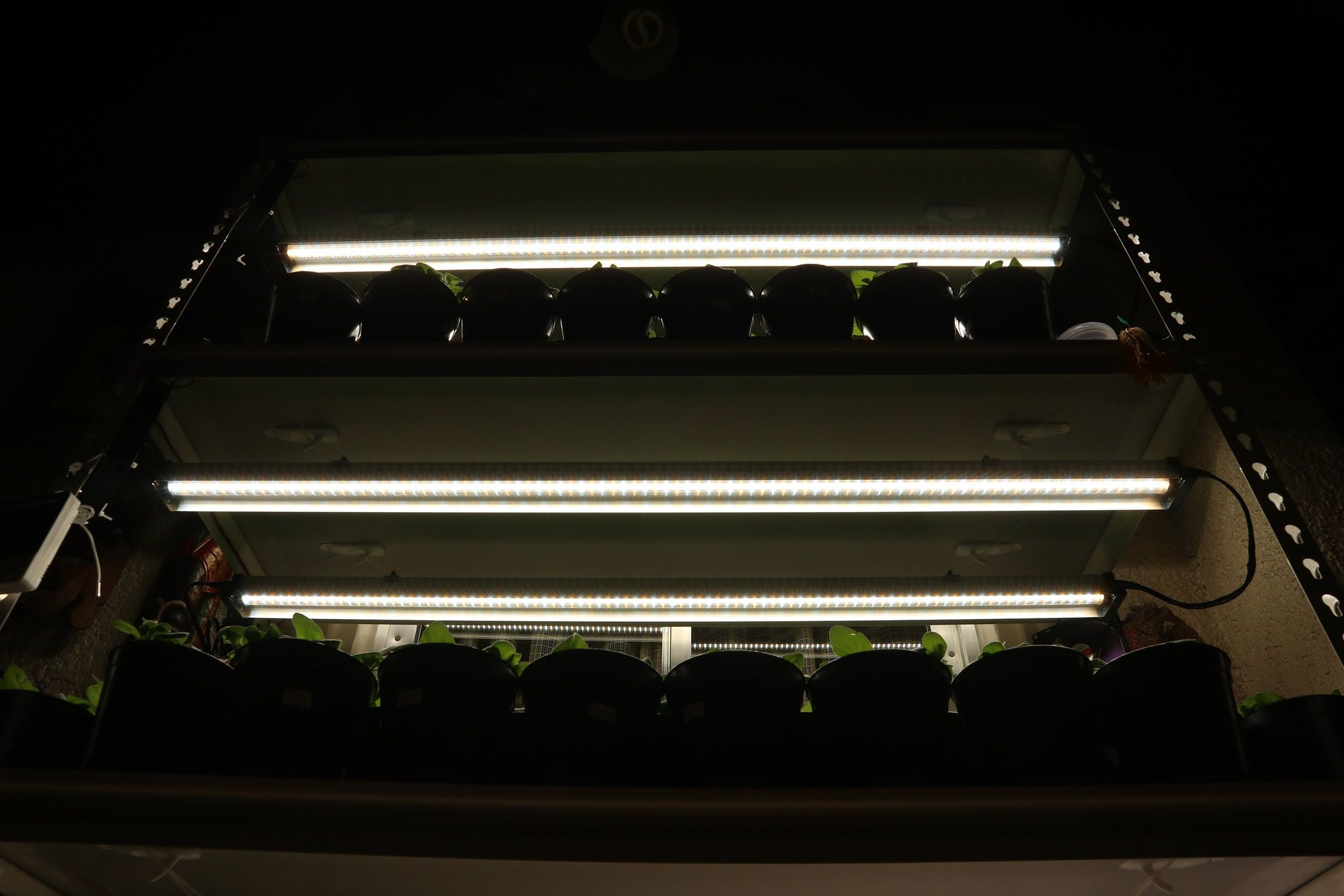 Greenhouse Full Spectrum LED Grow Lights COB CRI85 18W Hydroponic Light