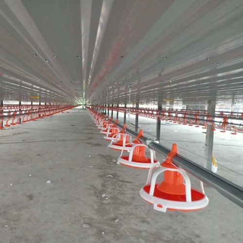 Automatic Poultry Feeder For Broiler