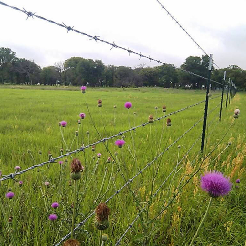 Zinc Coated Barbed Wire Fence Roll 1.6-3.2mm Diameter for Fencing