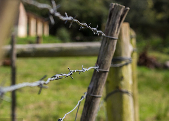 Garden Anti-Theft Anti Climb Single Strand PVC Coated Iron Barbed Wire