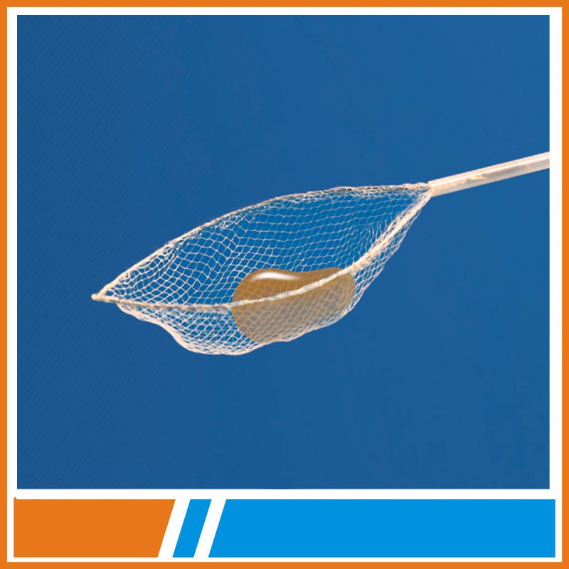 Disposable 2.8mm Forceps For Foreign Body Removal