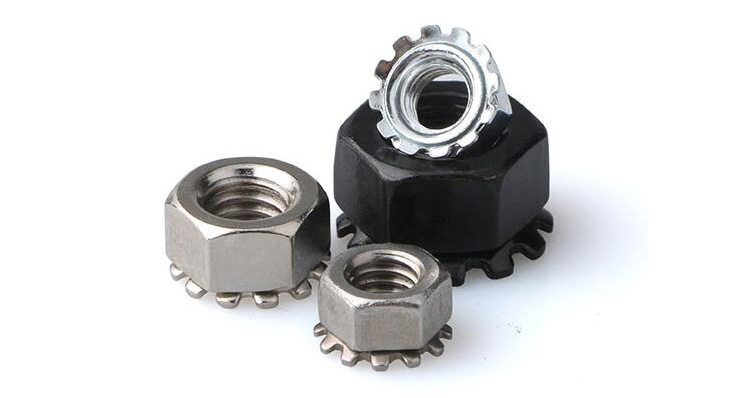 304 Stainless Steel K-nut American K Cap Multi-Tooth Flower Cap Nut Polished Finish
