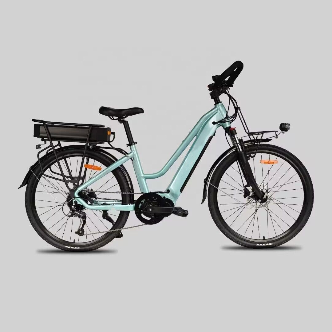 26 Inch Mid Drive Electric Bike 250W Hydraulic Disc Brake Bicycle For Adult