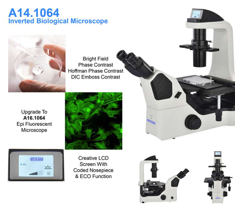OPTO EDU A14.1064 Inclined Phase Contrast Fluorescence Microscope