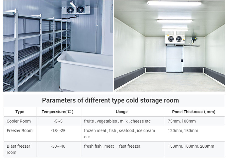 800 Ton Freezer In Cold Room 100mm 200mm 120mm 75mm