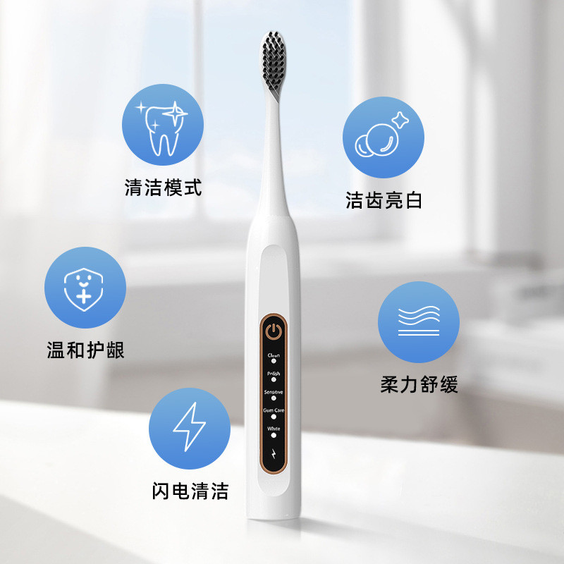 Food Grade ABS Sonic Rechargeable Electric Toothbrush Ultrasonic Tooth Cleaner Type C