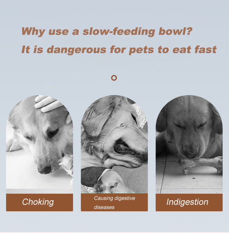 Pet PP Bone Shaped Slow Food Bowl Easy To Rinse Small And Medium Sized Dog Bowl