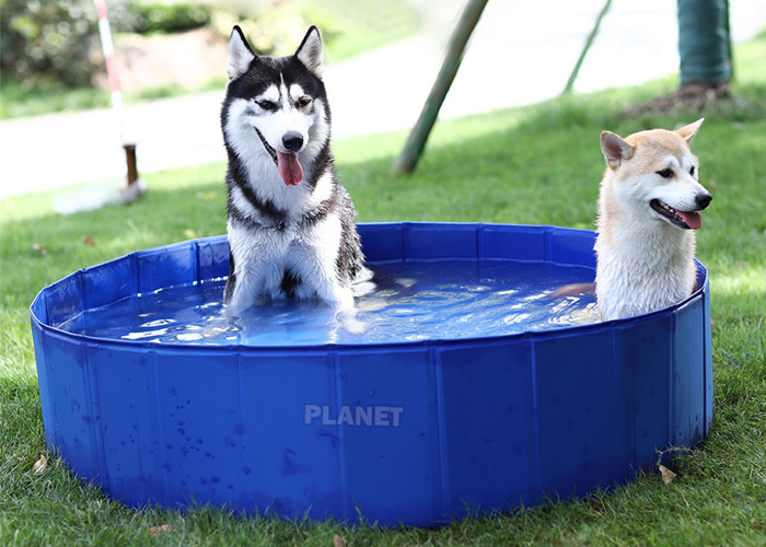 Blue 0.3cm Pvc Large Foldable Pet Wash Tub For Dog Cat Swimming