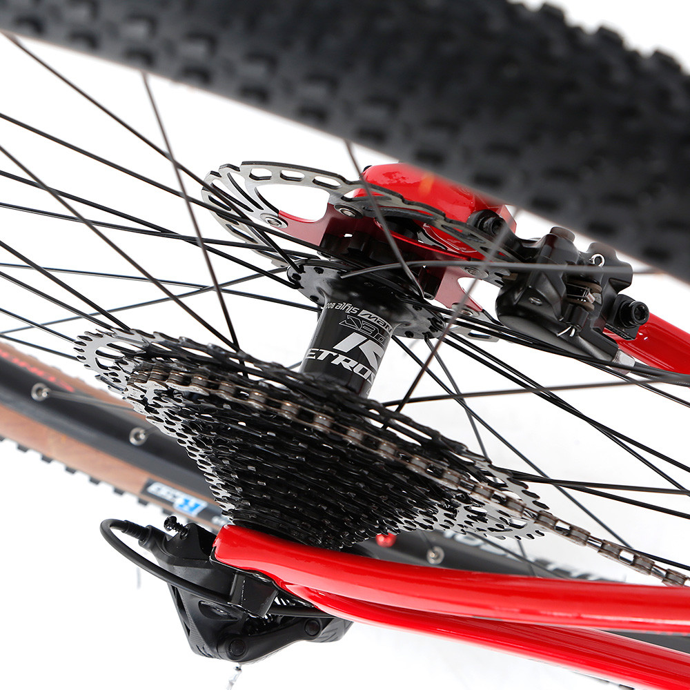 WARRIOR Pro RS 13 Speed Twitter Carbon Road Bike Thru Axle 148mm