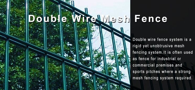 Powder Coated Green Color Double Rod Mat Fences For Garden 1.8*3m
