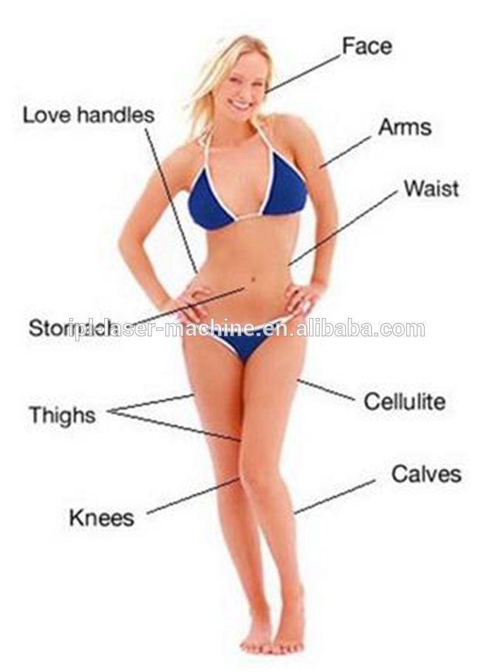 High Quality Body Shape Ultrasound Whole Body Slimming Fat Reduction Cryolipolysis Machine