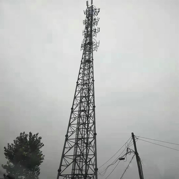 50m Q235 Steel GSM Self Supporting Radio Tower For Park