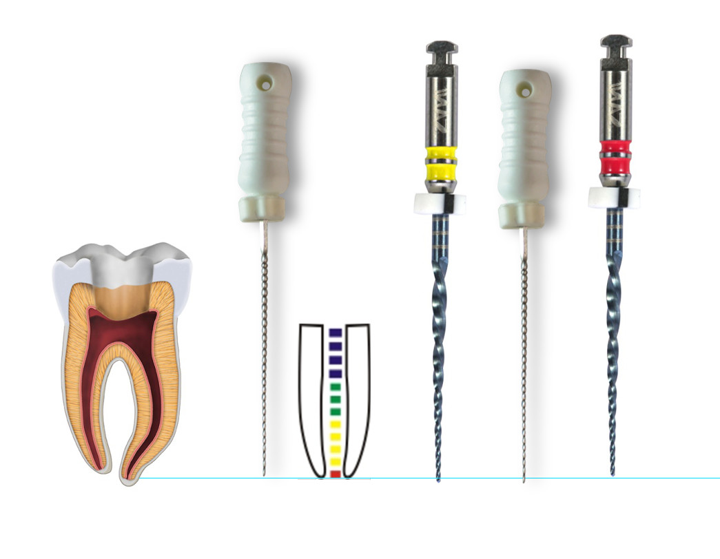 BS 3.0N/Cm Rotary Endo Files , Metal Silver 31mm Rotary Files