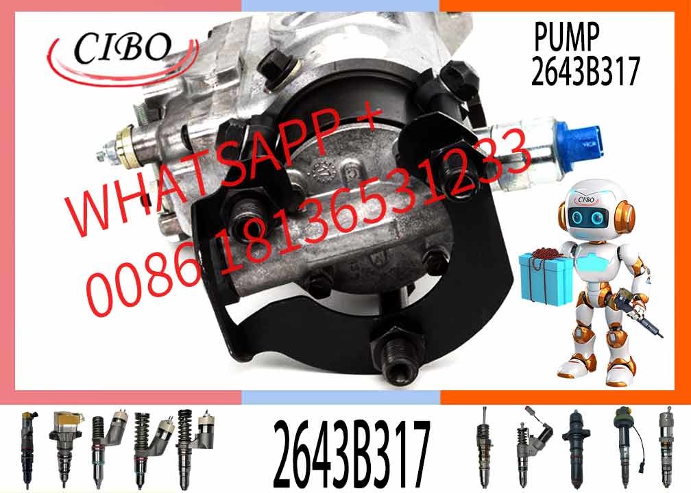 Common Rail Fuel Injection Pump 2643b317 2643B317 V3230F572T V3239F592T