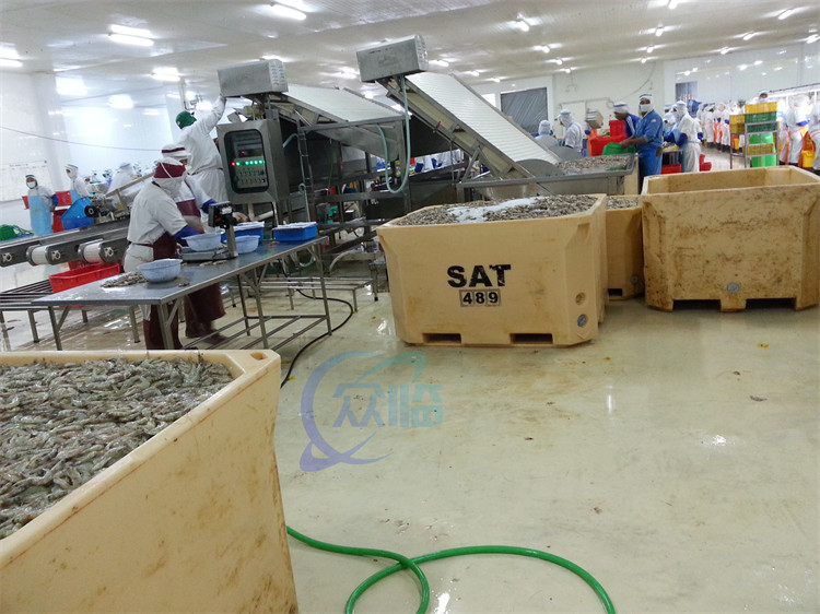 380V 50Hz Seafood Sorting Machine , Multiscene Shrimp Sizing Machine
