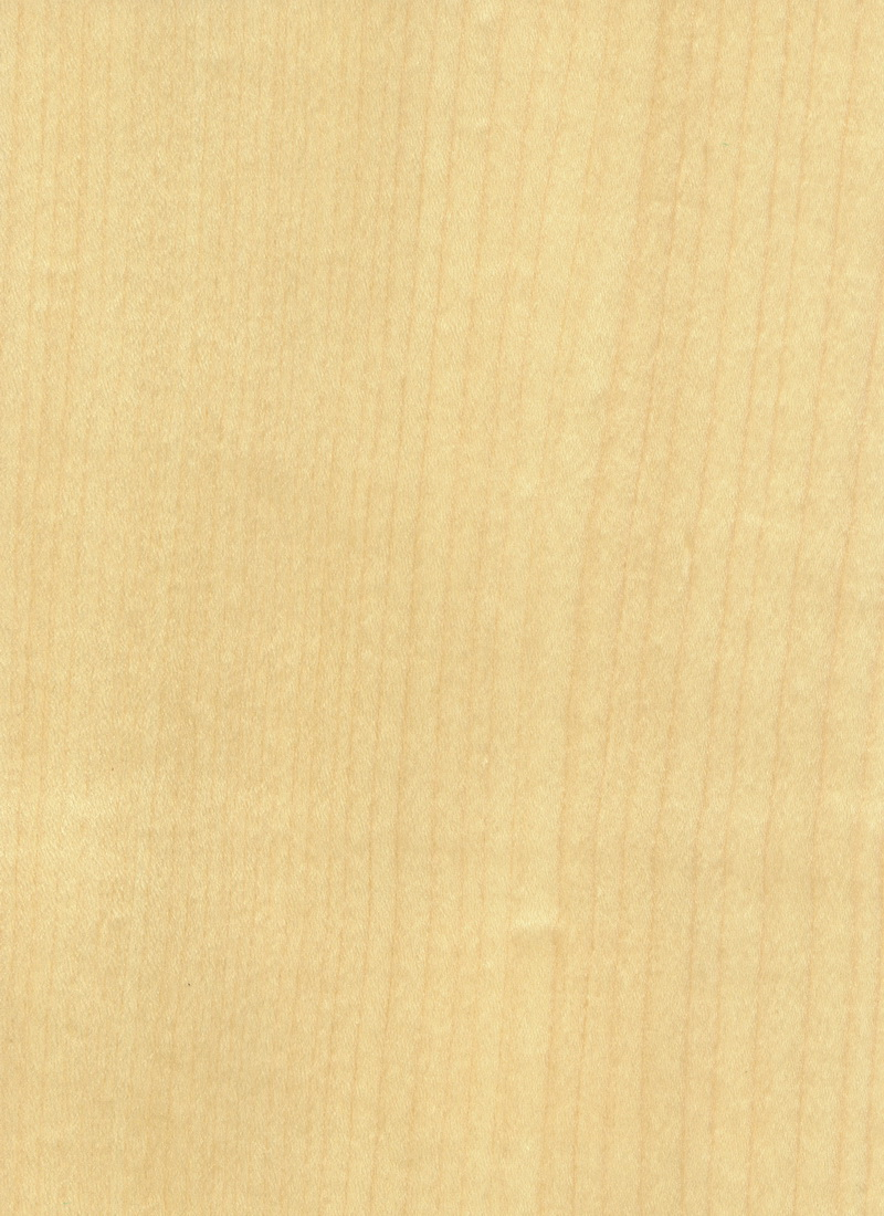 American Hard Maple Natural Wood Veneer 0.5mm For Wall Panels 2500mm Up Length