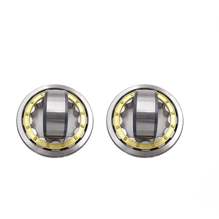 NU NJ Single Row Cylindrical Roller Bearing NF1007 1008 1009 NJ207 35x72x17mm