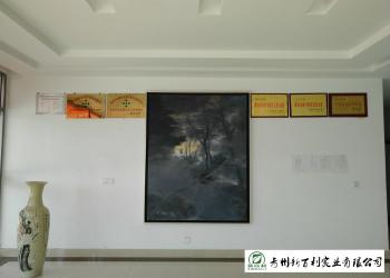 Qingzhou Xinbaili Industrial Co., Ltd.