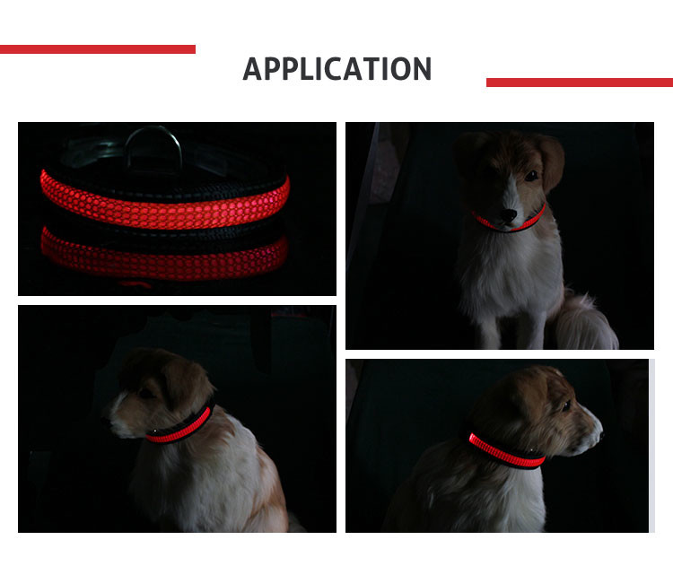 LED Nylon Dog Collar Dog Cat Harness Flashing Light Up Night Safety Pet Collars