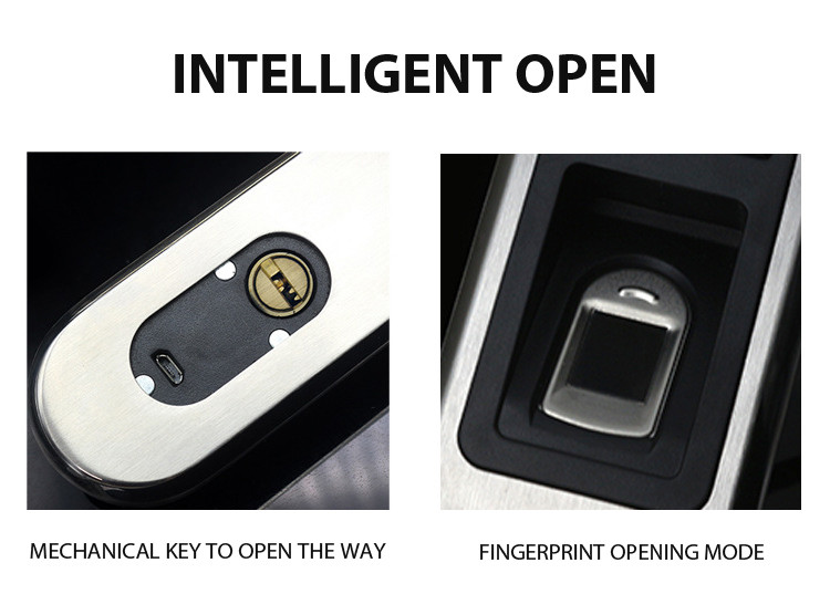 Intelligent Apartment Door Locks Fingerprint Super Durable For House