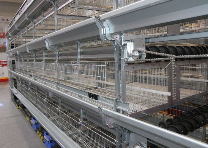 Breeding 120 Capacity Poultry Cage Equipment ，Poultry Raising Equipment