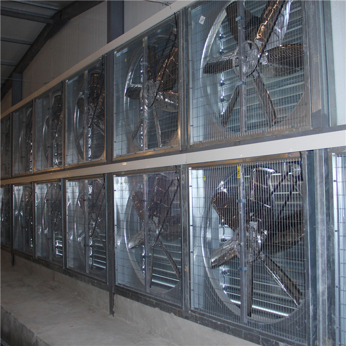 2400 * 2000 * 1500mm Farm Rabbit Cage Q235 Steel Wire / Plastic Material