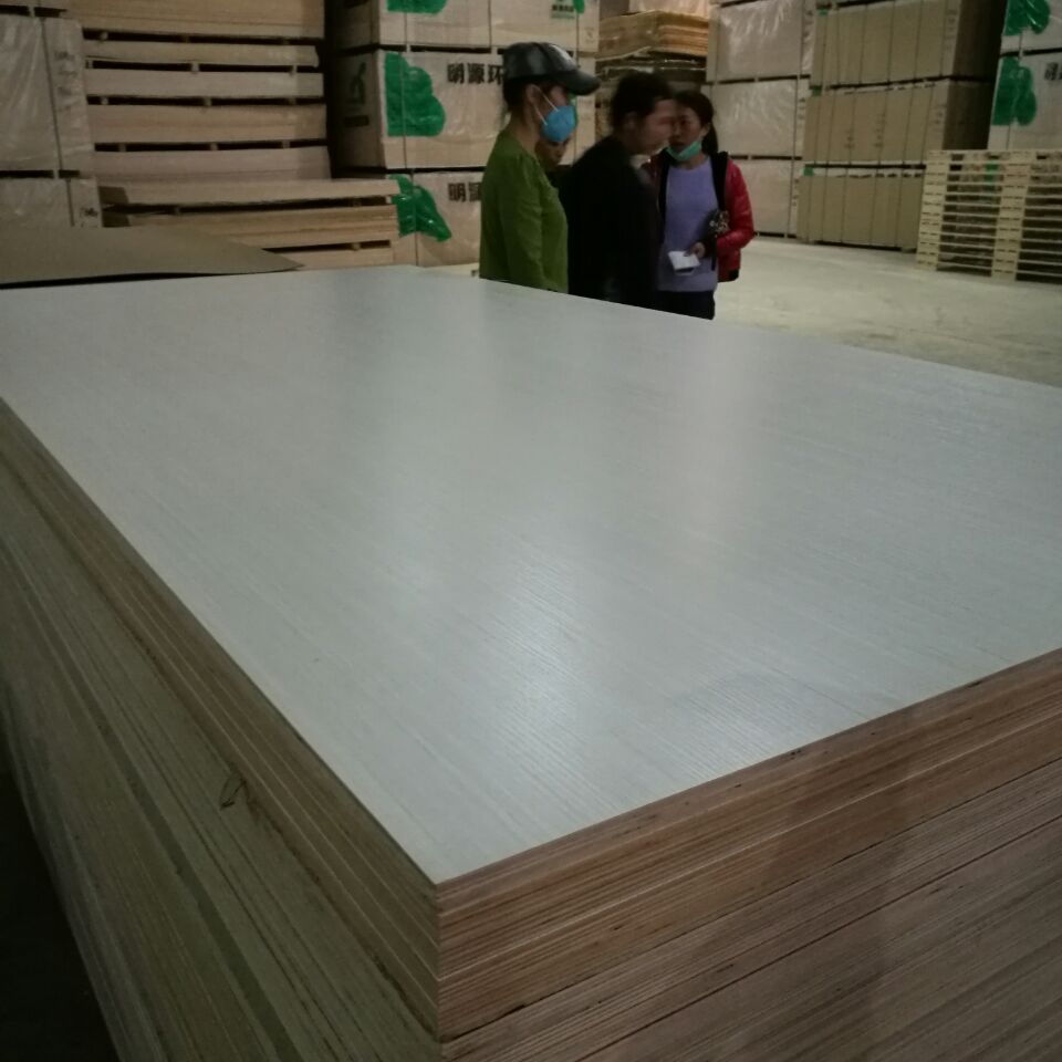E1 Glue Poplar Core White Faced Plywood Sheets For Furniture