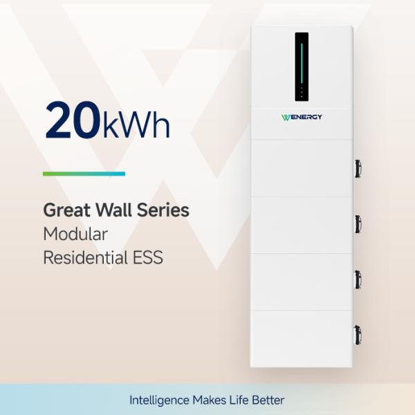 Wall Mounted Domestic Battery Storage System Residential ESS 20kWh IP65 Long