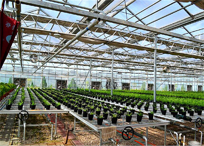 Anti Corrosion Greenhouse Rolling Benches Superior Quality Welded Mesh Materials