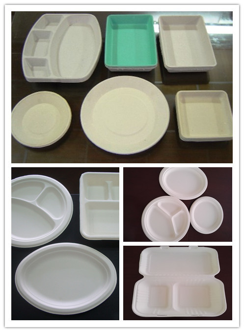 High Output Paper Pulp Molding Machine