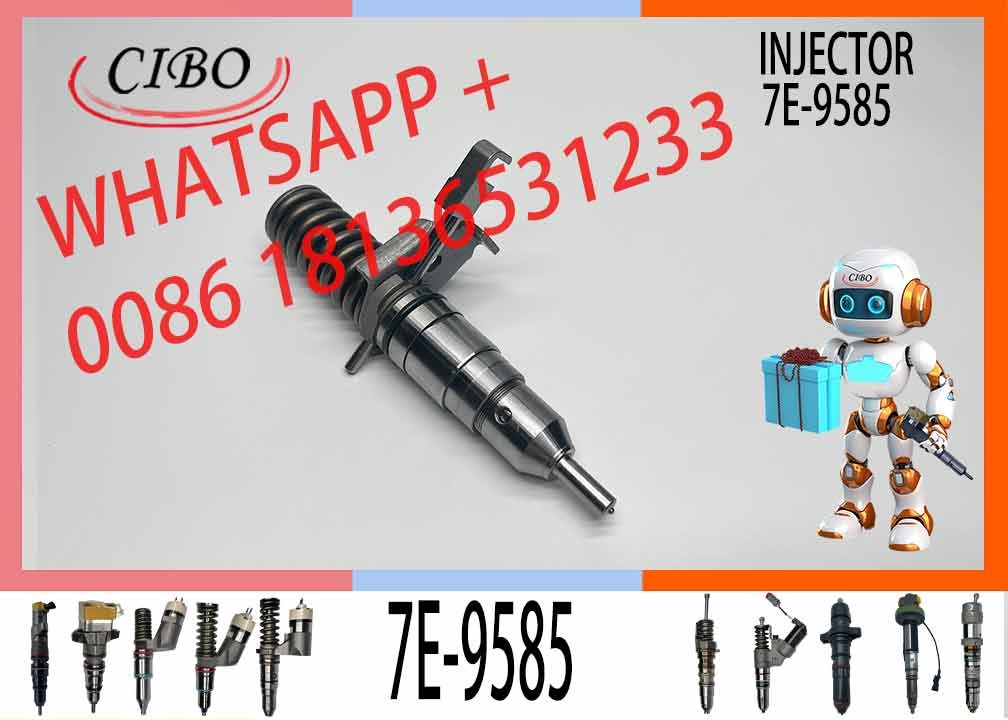 3114/3116 engine fuel injector 7E-8952 7E-8729 7E-9585 with genuine packing