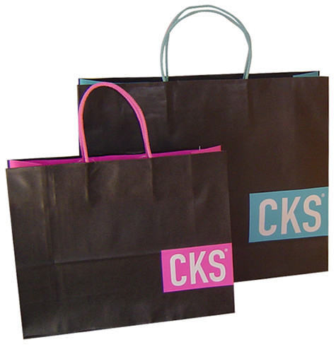 Custom logo hot foil stamping shopping bag kraft paper bag with twisted handle