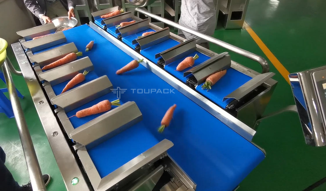 Industrial 12 Head 14 Head Belt Combination Weigher For Sweet Potato Corn Eggplant Type