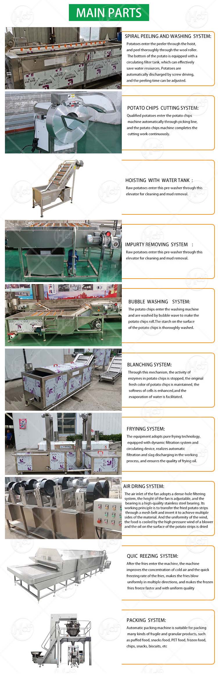 Fried Potato Chips Production Line 300kg Frozen Potato Fries Assembly Line