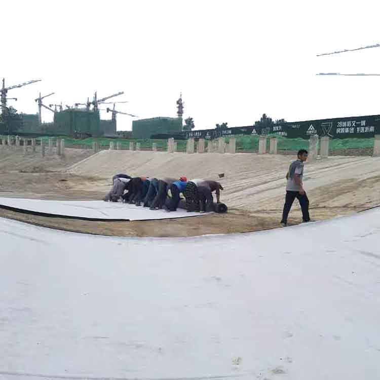 Compactness Advantage1 Bentonite Geosynthetic Clay Liner for Waterproof Performance