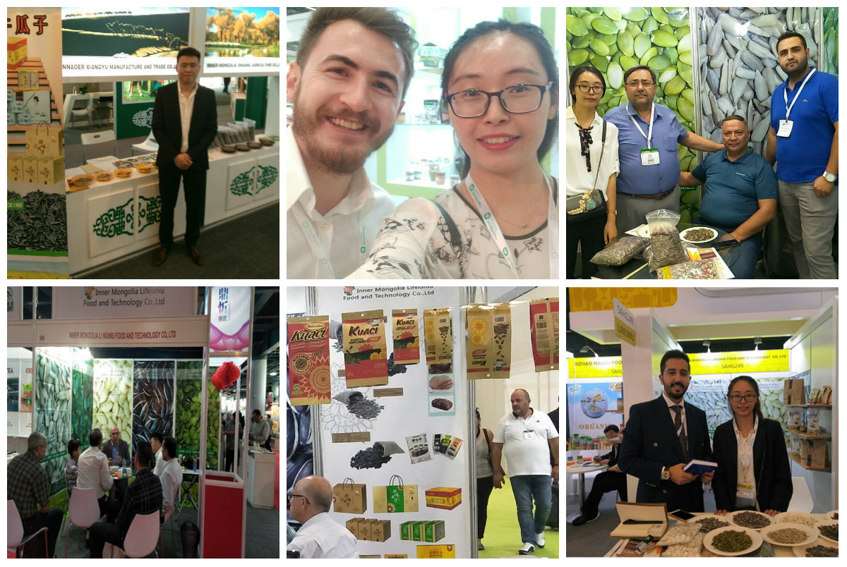Factory 1kg Walnuts Price Walnut Halves Wholesale China Top Thin Raw Amber 25kg/bag Packaging Raw Dried Walnut Kernel Dried Nuts