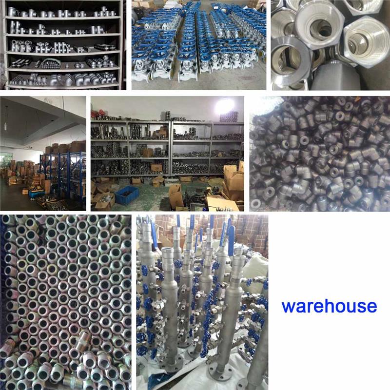 Stainless steel 304 ASME B16.11 high pressure socket weld 3000LB weldolet