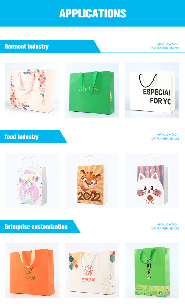 Boutique Shopping Clothes Custom Logo Paper Bag Printed White With Ribbon Handle