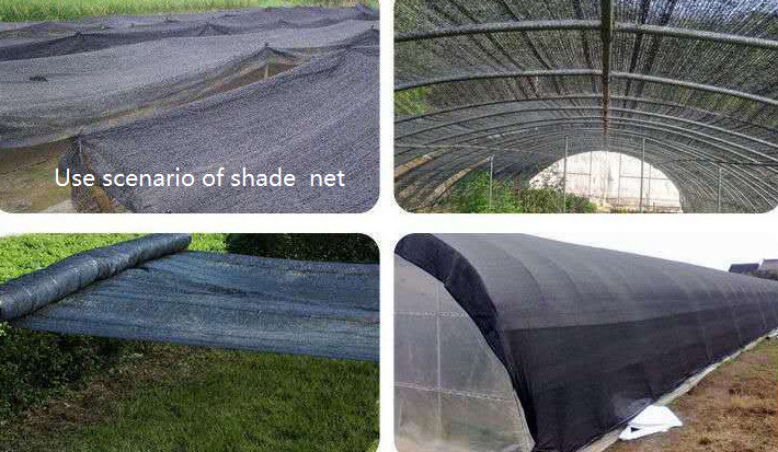 China Specialized Nets Warp Knitting Machines For Agriculture Planting Shade Nets