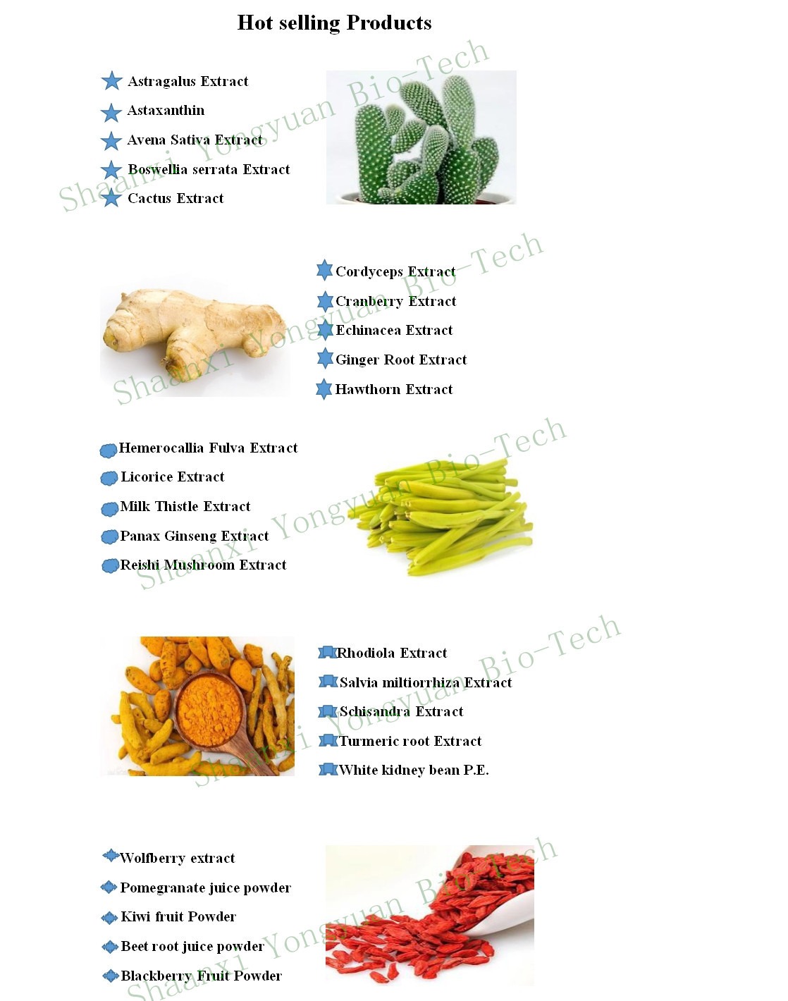 Chicory Root extract 90% inulin UV,Control blood lipid and blood sugar, Obesity prevention, Shaanxi Yongyuan Bio-Tech