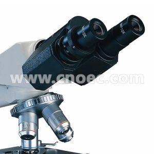 University Student Biological Microscope Polarizing Microscopes , CE Rohs A11
