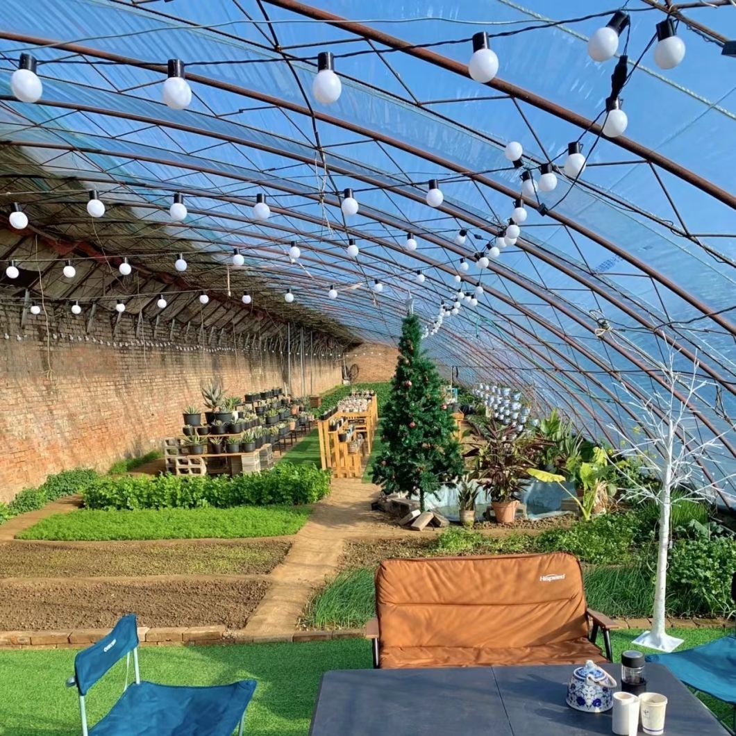 Sunlight Greenhouse Hydroponic Vegetable Production