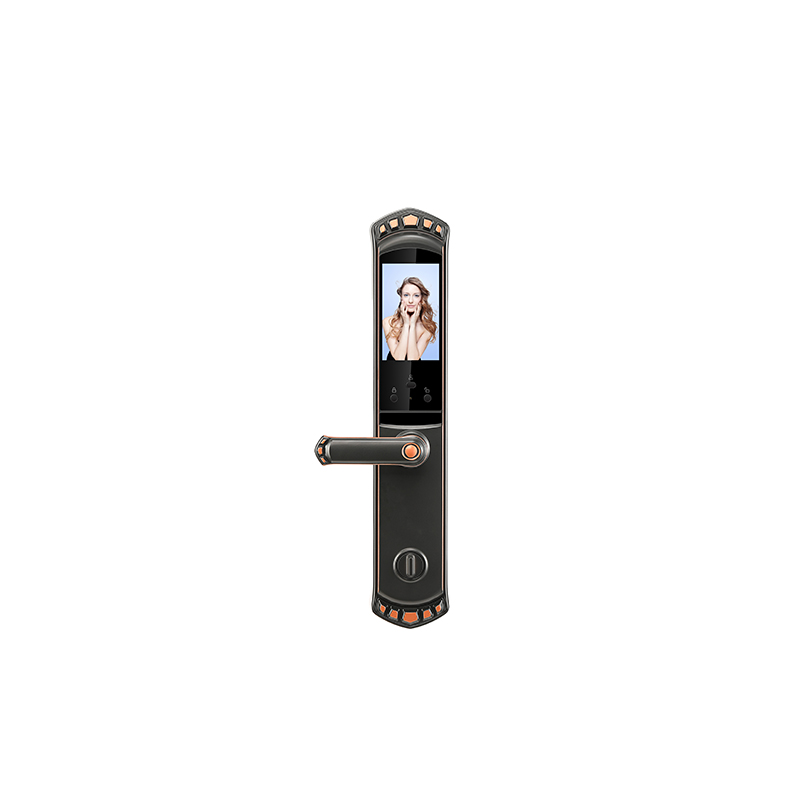 Standard Mortise Smart Door Lock Using Face Recognition Black Bronze