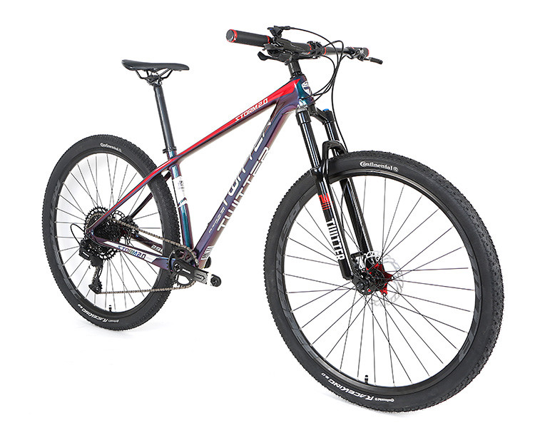 Carbon Mountain Bike 29er Holographic Color With Sram SX 12S Groupset For Adult