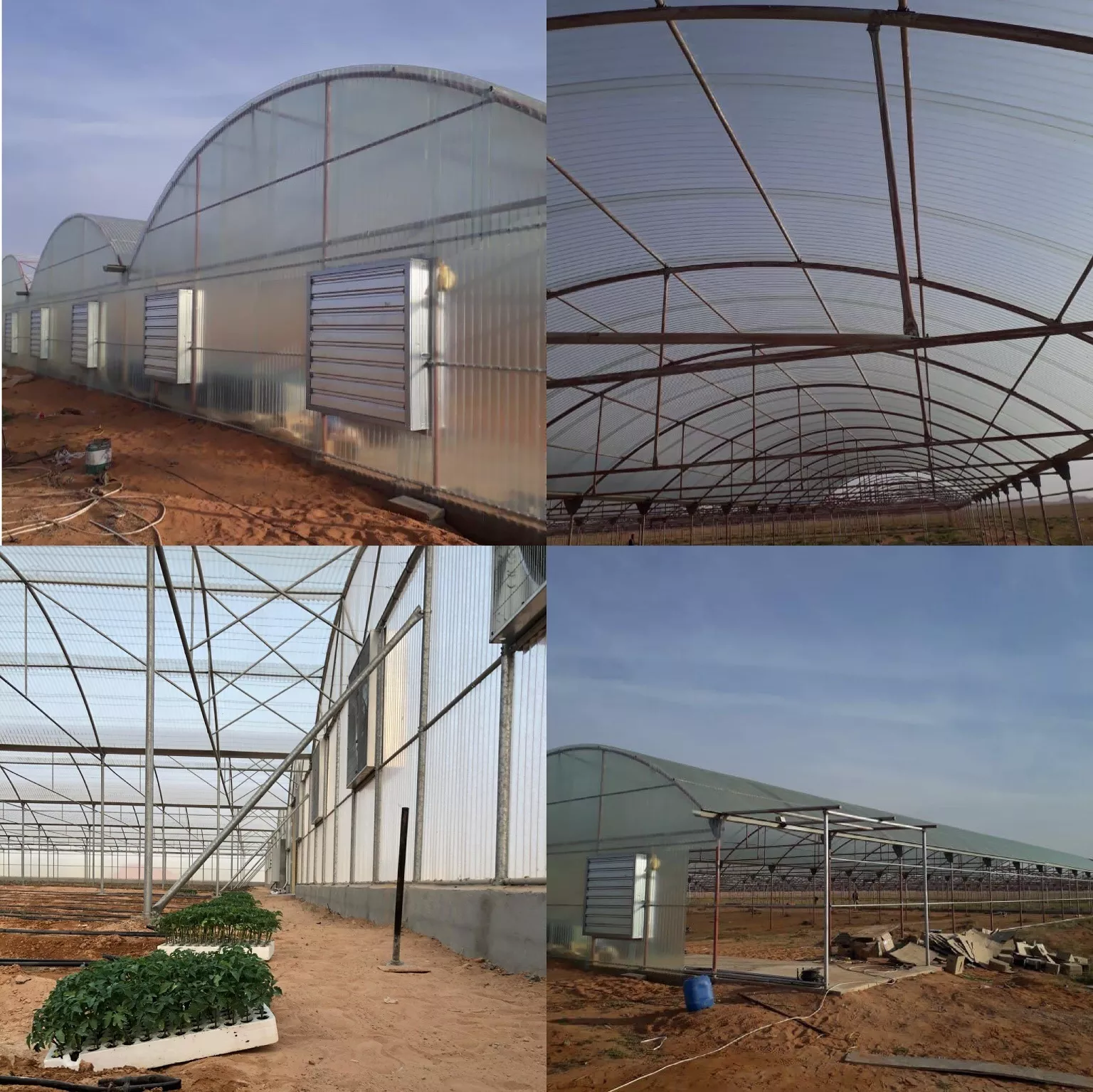fiberglass transparent roofing sheet for greenhouse