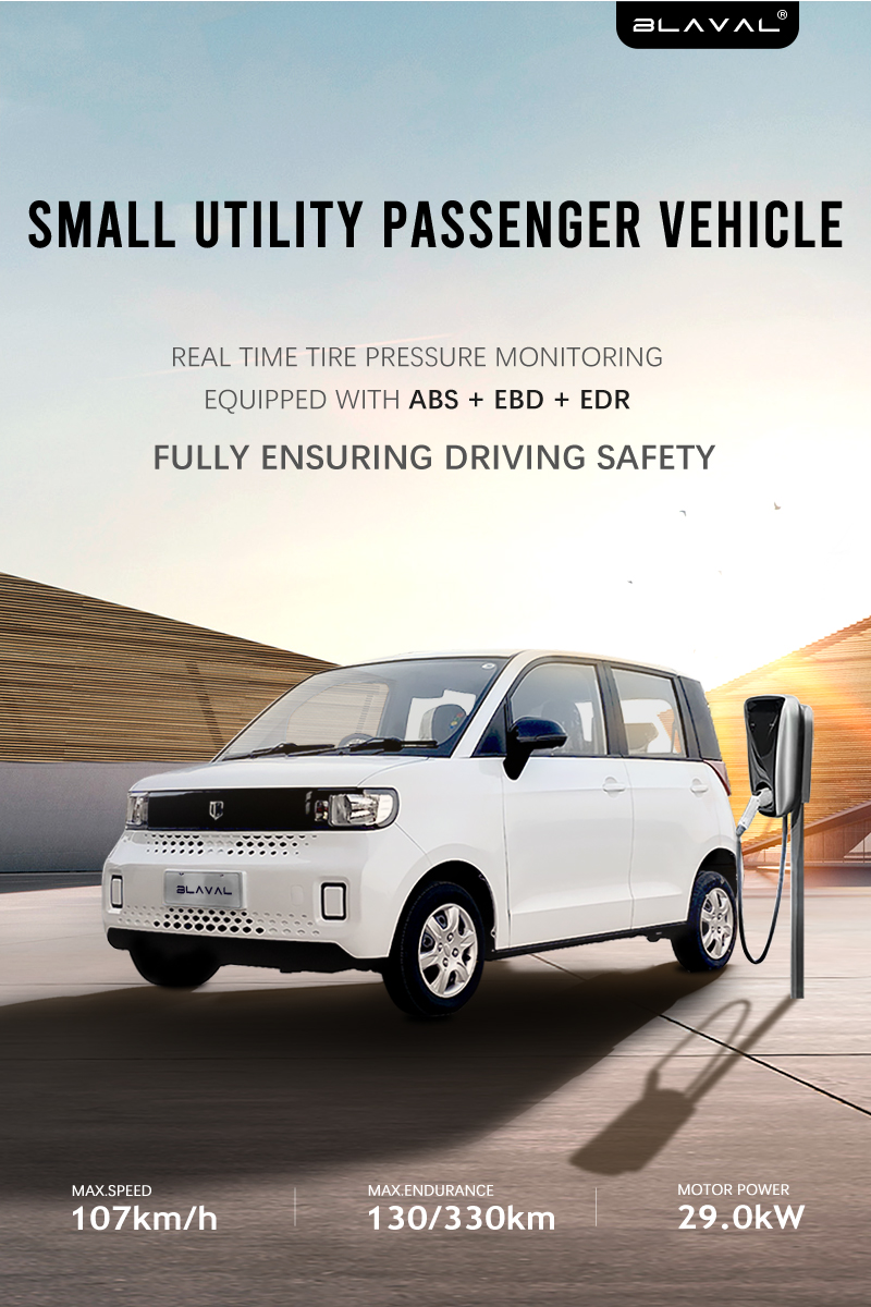 Blaval Small Electric Vehicle 300km 2-Door 2-Seat Car Design Made In Solar Energy Mini Electric Car R14 Tire Size