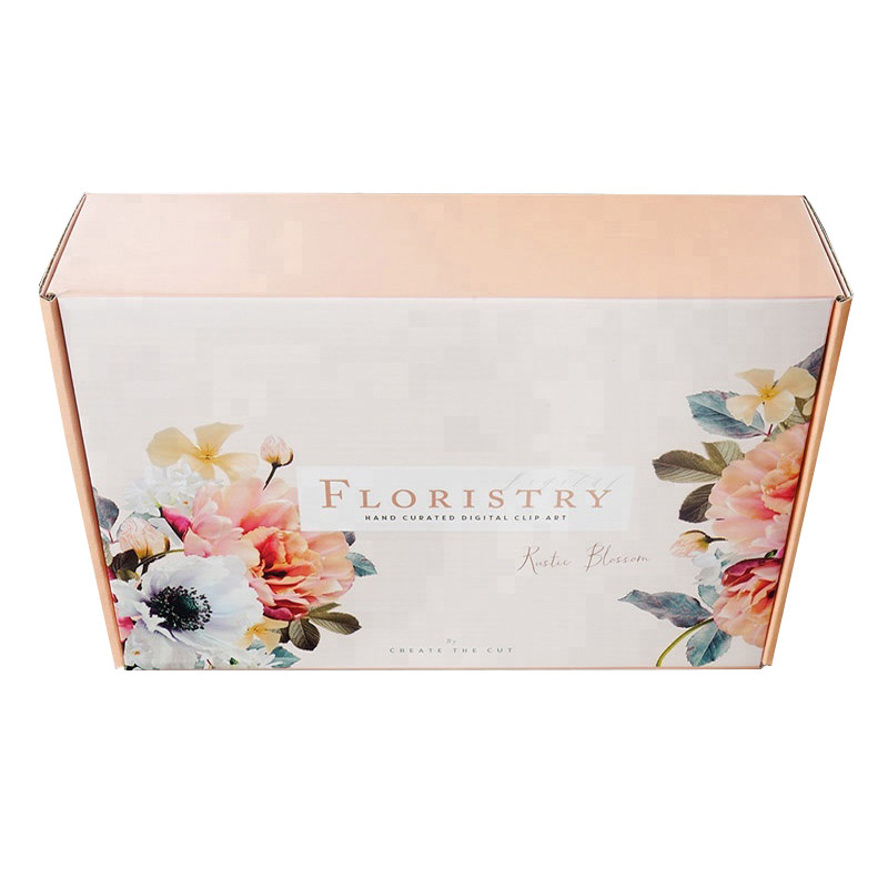 Custom Printing Made Design Fancy Folding Portable Corrugated PaPer Packing Mailing Shipping Boxes