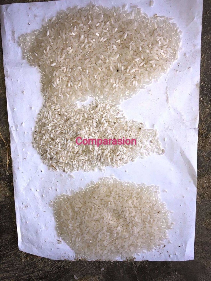 Rice Mill CCD Color Sorter Machine SGS Mini 1.0 T/H 1